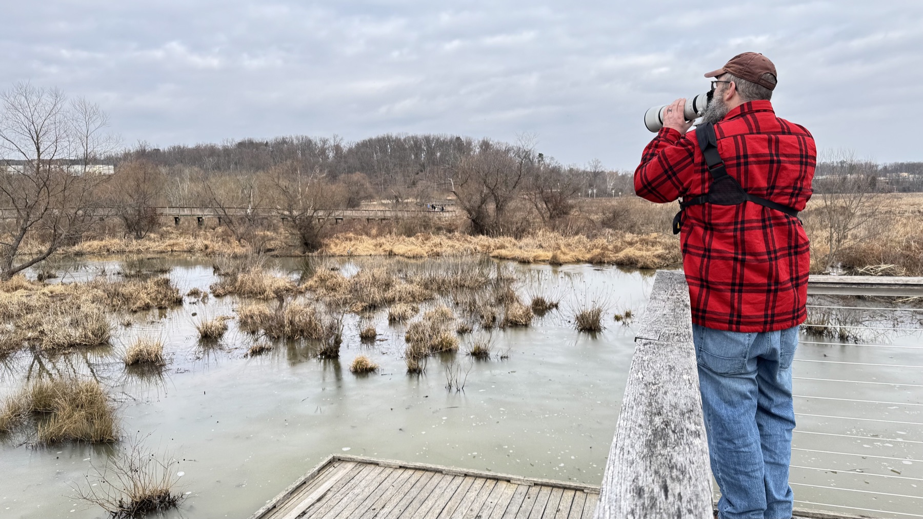 Mike photographing from a boardwalk with a Canon camera and RF100-500 lens overlooking wetlands
