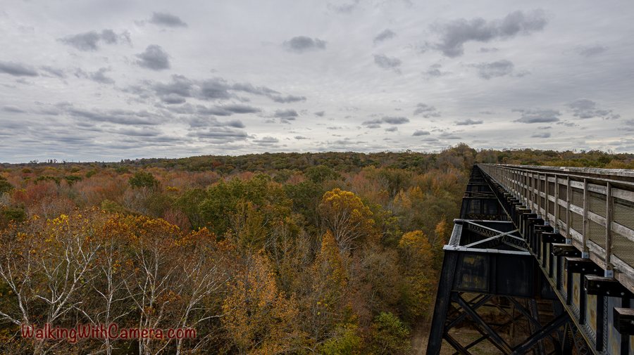 A high wooden walkway stretches across an autumn-colored woodland. Dark supports beneath the deck and a long railing show the structure's height above the trees.
