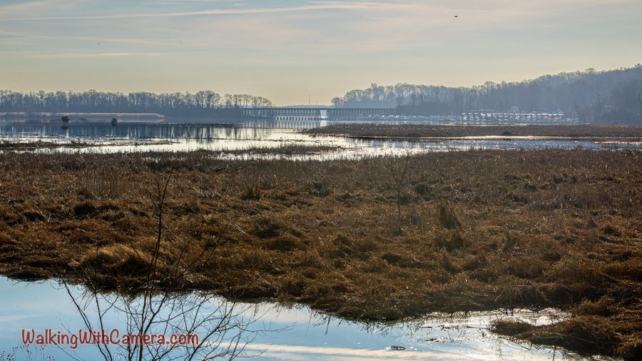 Low marsh grasses, quiet water, and a distant boardwalk sit beneath a pale sky.