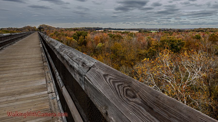 A wooden walkway crosses above a broad stretch of autumn treetops. The railing draws a long diagonal toward the horizon beneath a clouded sky.