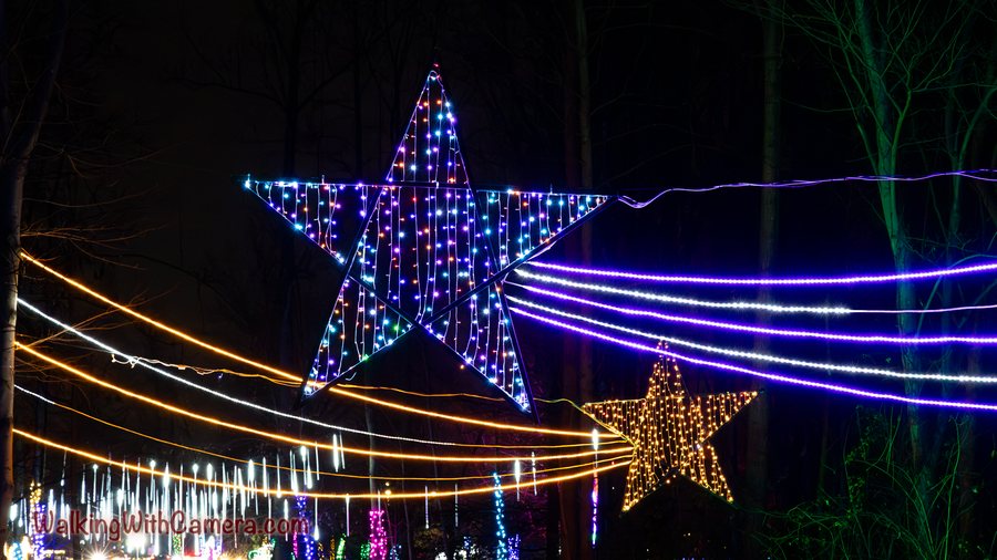 A large illuminated star hangs above sweeping strands of purple and gold lights. A smaller gold star adds another bright shape against the night.