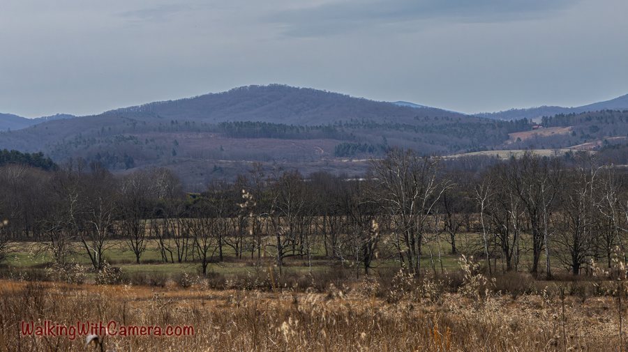 Open fields and bare trees lie beneath a broad wooded mountain ridge.