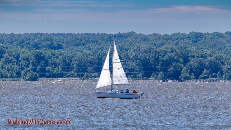 A white-sailed boat crosses open blue water in front of a wooded shore.