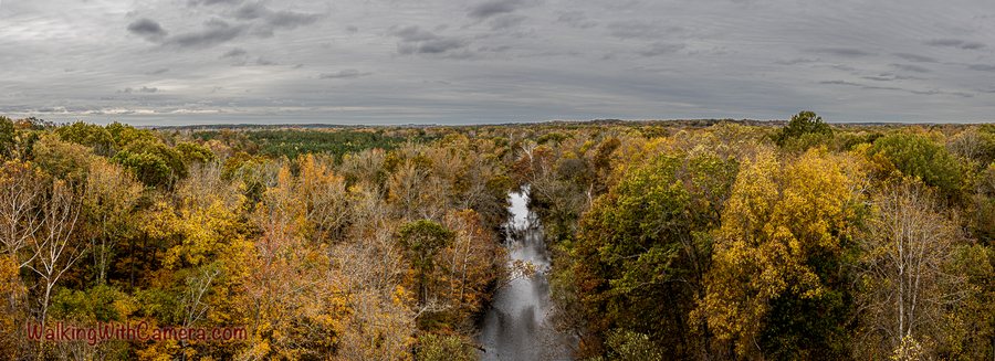 A narrow river runs between autumn-colored trees beneath a textured gray sky. The high viewpoint shows the water cutting through the woodland toward the horizon.