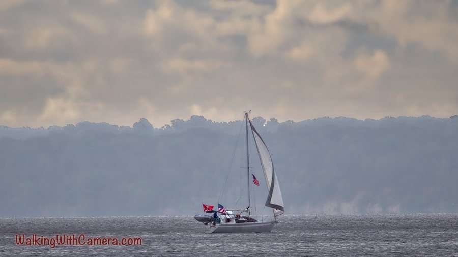 A small sailboat crosses gray water with its white sail raised. A hazy wooded bank and muted clouds layer the background behind it.