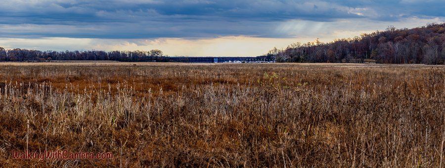 Dry marsh grasses stretch across the foreground beneath layered clouds. Water and a distant line of trees divide the open scene near the horizon.