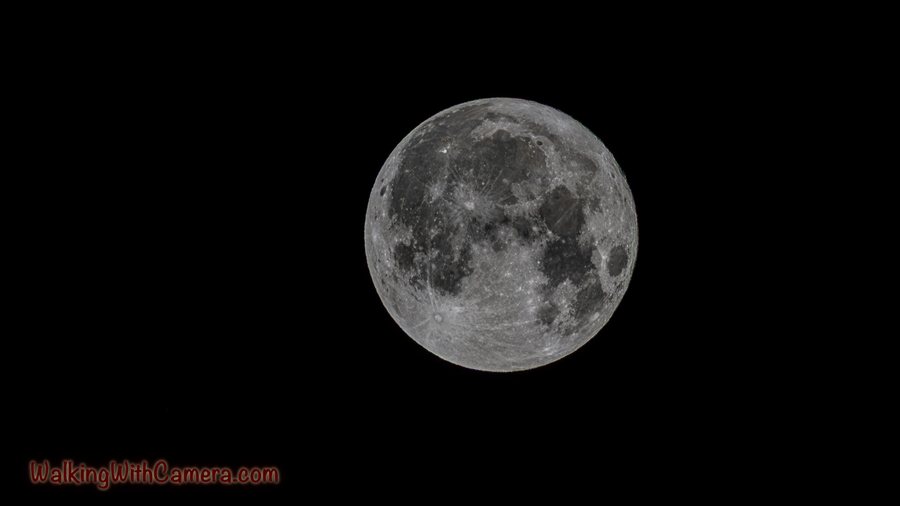 The bright moon shows detailed light and dark surface markings against a black sky.