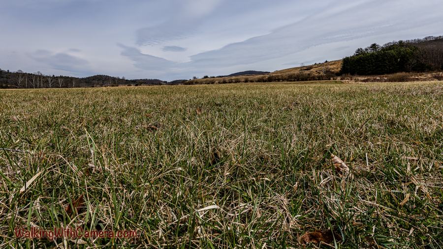 A low view across rough grass leads toward trees and softly clouded hills.