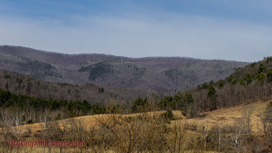 Layered wooded hills rise above open grass and scattered bare trees.