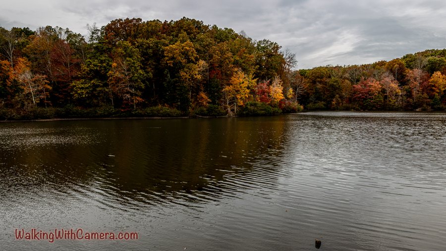 Autumn-colored trees line the far shore and reflect in rippled water.