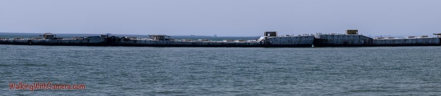 A long row of large ships stretches across the far side of open water.