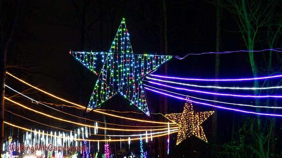 A multicolored illuminated star rises over long strands of purple and golden lights. Bare trees frame the display against the dark background.
