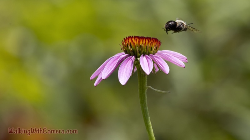 Seasonal Growth gallery