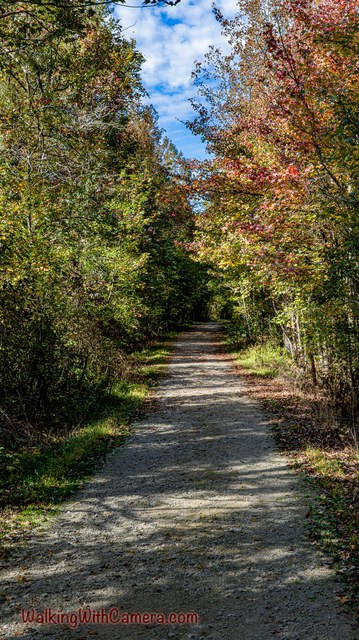 A narrow path runs between trees showing green and autumn-colored leaves.
