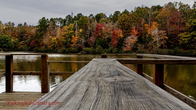 A wooden platform reaches toward water backed by autumn trees. The rough grain of the railing leads the eye toward the colorful far bank.