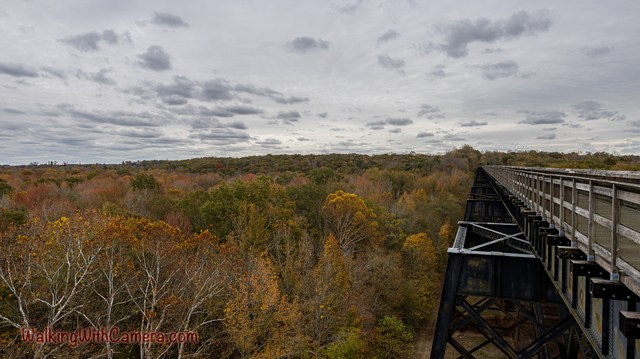A high wooden walkway stretches across an autumn-colored woodland. Dark supports beneath the deck and a long railing show the structure's height above the trees.