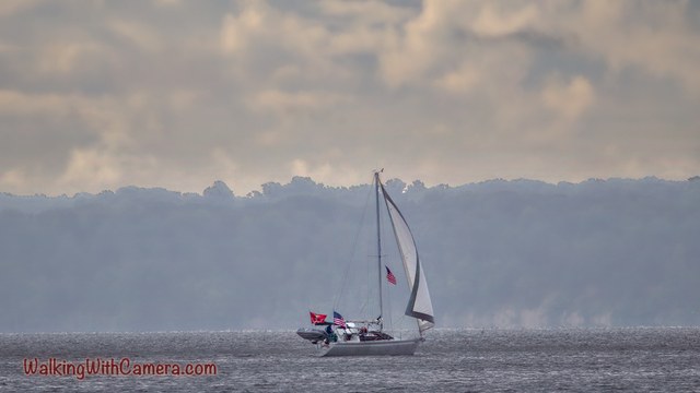 A small sailboat crosses gray water with its white sail raised. A hazy wooded bank and muted clouds layer the background behind it.
