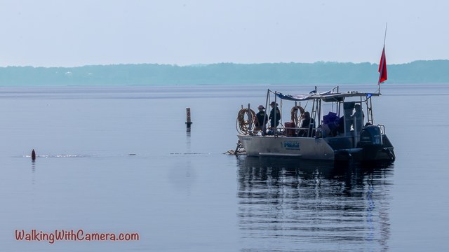 A small boat sits on calm water with a red flag raised. Its structure and passengers are visible above a clear reflection, with a low shoreline in the distance.
