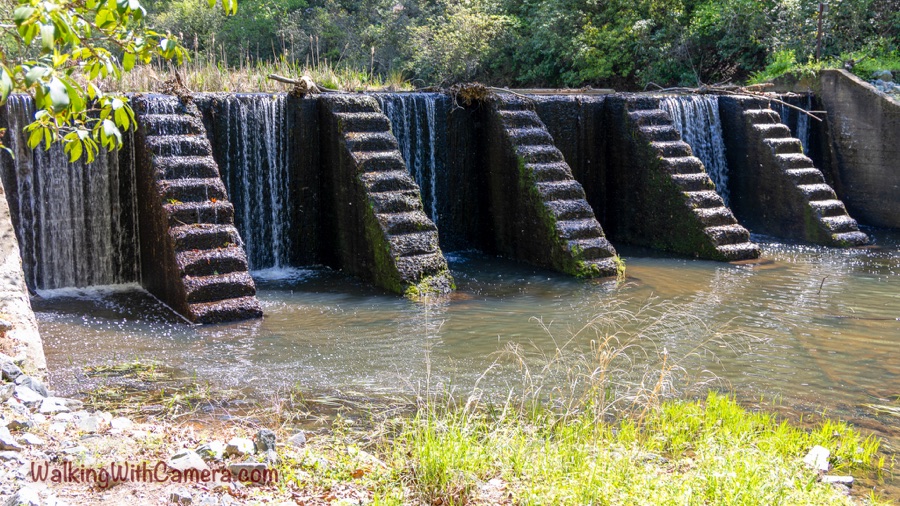 Water spills over a low stone dam with several sloped dividers into a pool, bordered by leafy trees, grasses, and rocks.