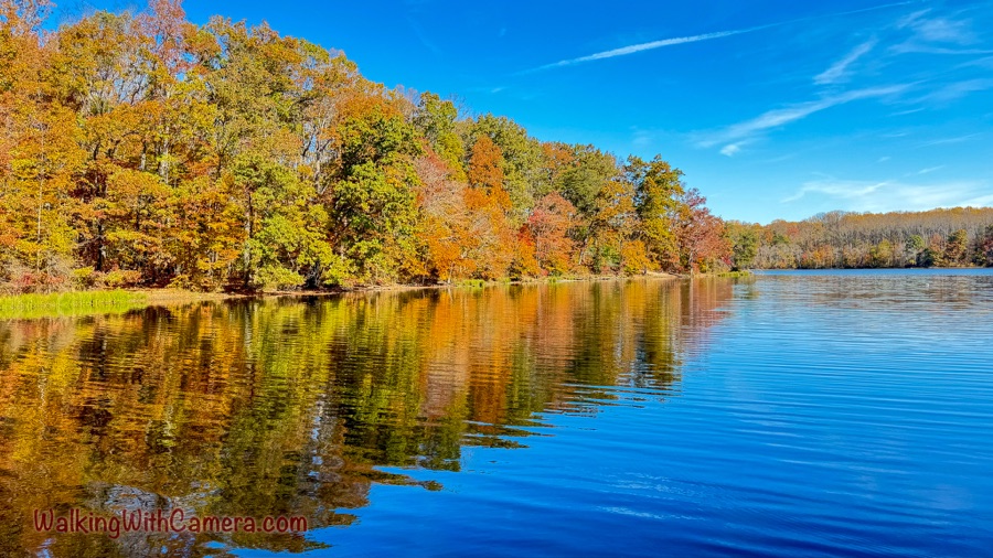 Autumn-colored trees reflected beside blue water at Burke Lake.