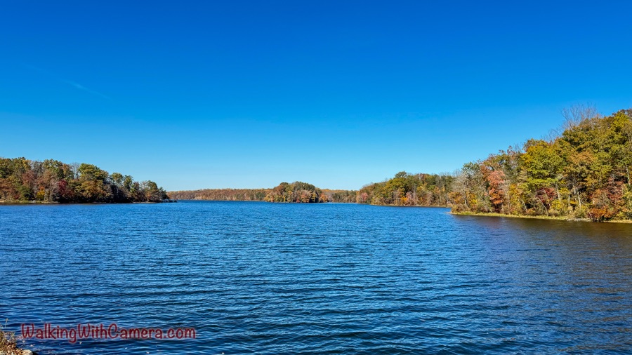 Blue rippled water between autumn-colored wooded shores.