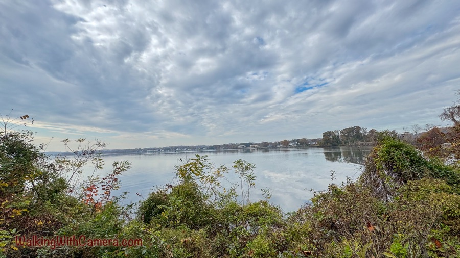 A calm bay reflects a cloudy sky, with shrubs along the near bank and homes and trees across the water.