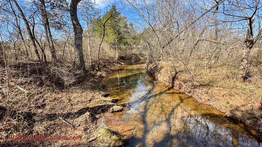 A shallow creek curves through leafless woods, reflecting bare branches over its sandy, stony bed.