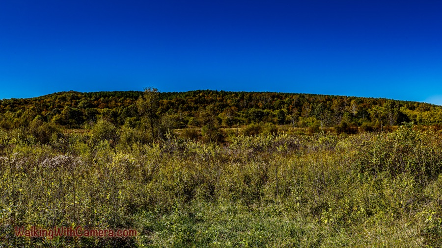 A wide panorama of an open grassy meadow and low wooded ridge beneath a deep blue sky in autumn.