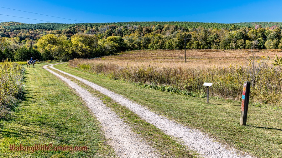 A gravel park trail curves through a grassy meadow toward autumn woods; a rider on horseback is visible in the distance, with trail signs and utility lines nearby.