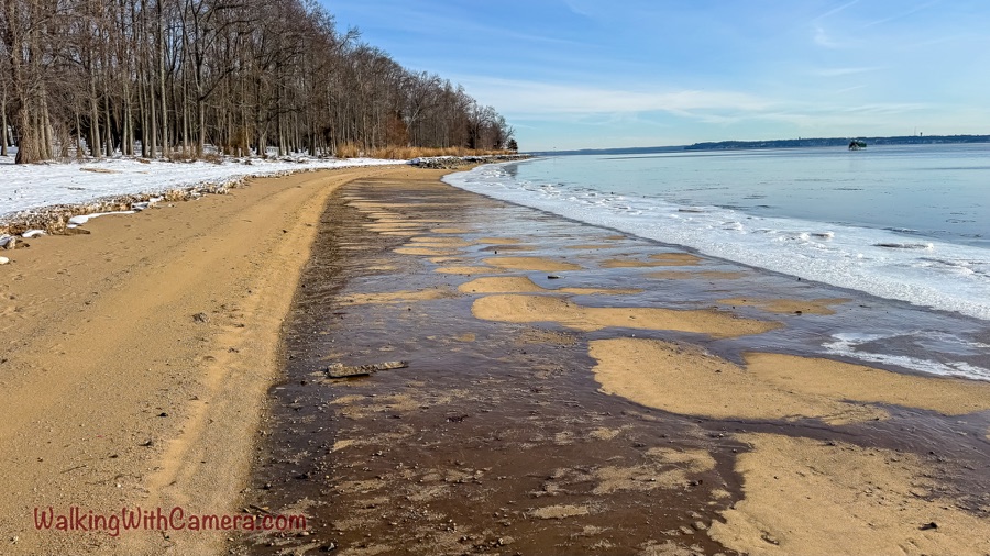 A sandy winter beach curves beside calm water, with snow covering the ground beneath leafless trees.