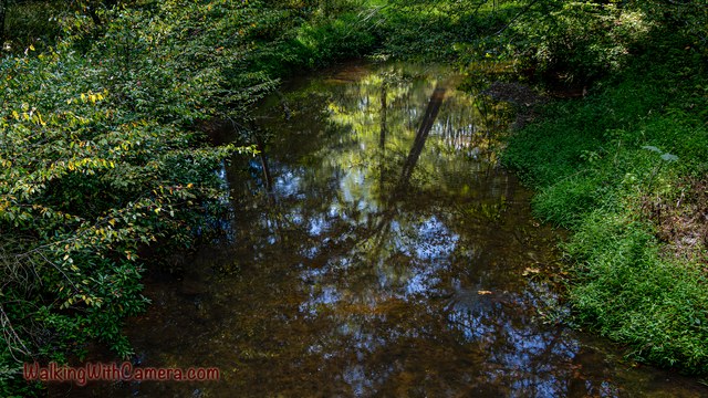 Green branches and patches of blue sky reflect in a narrow woodland stream.