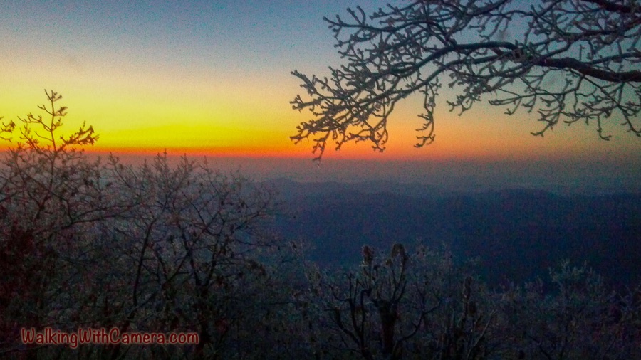 A bright yellow, orange, and red sunrise glows above a hazy distant landscape, framed by dark bare branches.