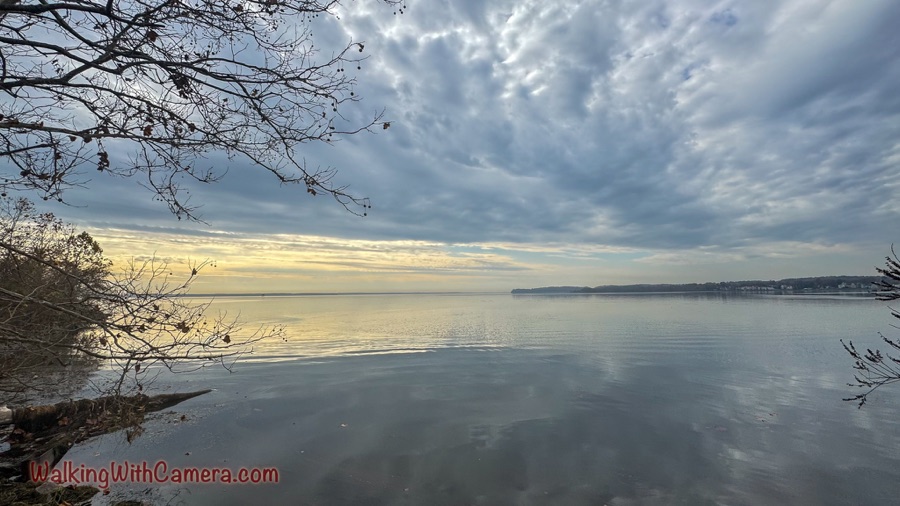 Bare branches frame calm water beneath layered gray clouds, with a golden strip of light along the distant horizon.