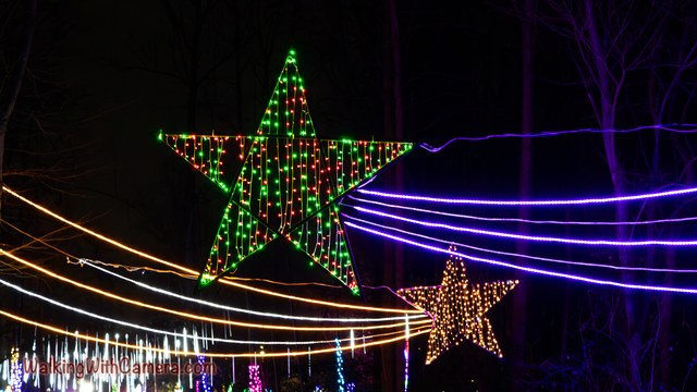 A large green-lit star hangs above purple and golden strands of light. A smaller star sits below it against the dark trees.