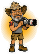 Walking With Camera camera logo